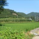 먹골사슴농장 이미지