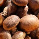 이성종 농장 이미지