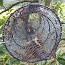 조아농장 이미지