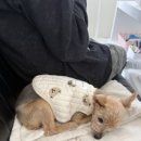 버스정류장(첨단1동주민센터) 이미지