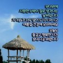 고은님 이미지