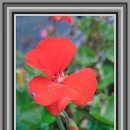 주정차CCTV-이마트진입로 | 김포공항 주차비 잡는 김포공항 주차대행 완전정복 ✈️🚗