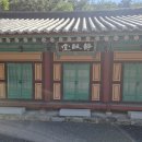 [전라도 템플스테이 추천]마음이 힐링되는 곡성 도림사 1박 2일 휴식형 후기
