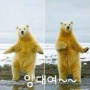 단석가찰보리빵 이미지