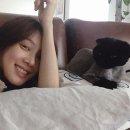 행복한이발 스타뉴스