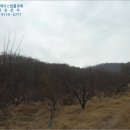 샛골축산 네이버블로그