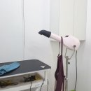 멋내는애견 이미지