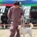 몽실이 이미지