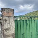 철이네 촌캉스 이미지