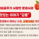 문경온천 2공원 이미지