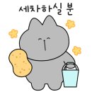 울산송정손세차 이미지