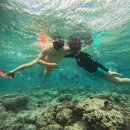 노아카 | 2일차 - 제이파크 아발론 조식뷔페, 밀리네 호핑투어 후기, 노아스파, 스테이크 하우스 카산타 시크릿가든