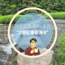 향기가득한콘도형민박 | 강원도 횡성 계곡 차박 추천 여름 휴가엔 친구들과 시원한 계곡에서 자연 힐링을...!