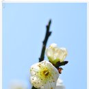 초의선사탄생지(2) 이미지