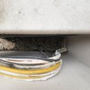 회정범양아파트 | 양주 비둘기 퇴치 회정 범양아파트 비둘기 똥 청소 및 전면 그물망 설치 후기