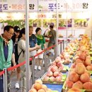 옥천과일
