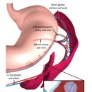 큐동물병원 이미지
