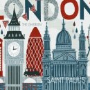 런던동물병원 이미지