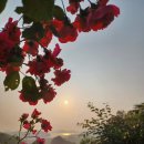 둔덕농장2 이미지