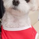 아산아이윌24시동물메디컬센터 이미지