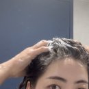 운하헤어숍 | 플루 테라피 두피 딥클렌징 스크럽 코스트코 추천아이템 사용 후기