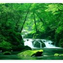 명상기획 이미지