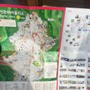 감내카페 벽화 이미지