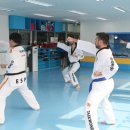 엘리트용인대국가대표태권도장 이미지