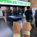 2024 케이펫페어 송도 쇼핑 후기 및 추천템 (강아지옷, 커스텀 굿즈, 노즈워크장난감 외)
