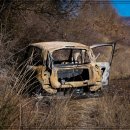 자동차라인 이미지