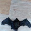 방태산황토펜션식당 이미지