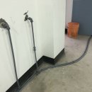 하꾸나마루다 이미지