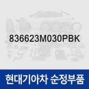 캐치캡