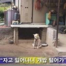 영천 돌메기 매운탕 이미지