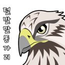 연꽃자리캠핑타운 이미지