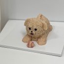 롱이네 과자점 이미지