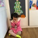 위플레디