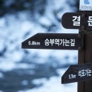 길 하나에 이름 8개…걷기여행길 판치는 韓, 전국 538개 이미지