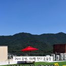 데일리멍 애견유치원, 애견호텔 이미지