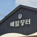 평택 |평택 메밀맛집 추천 '선바위 메밀장터' 들기름막국수 평택직영점 방문 후기