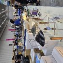 보리수하 이미지