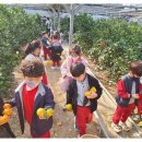 성만농장 이미지