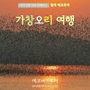 오리여행 이미지