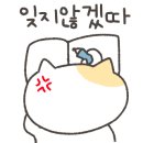 왕게임PC 이미지