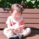#85 육아일기) 19개월 아기랑 여행 / 켄싱턴호텔 평창
