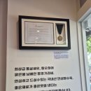 차이나칼짜장 | [홍대 맛집] 차이나엑스포, 외국인도 반할 깔끔한 인생 탕수육 (China Expo in Hongdae)