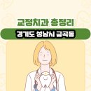 경기도 성남시 금곡동 교정치과 총정리