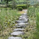 풍암호수작은도서관 | [광주 서구] 풍암호수공원 - 도심 속에서 만나는 호수의 평온함