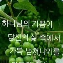 최상렬 이미지