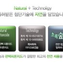 에코 코리아 이미지